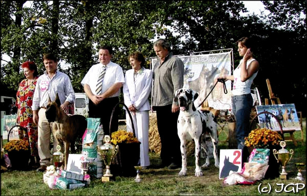 Klubowa Wystawa Dogów Niemieckich 2006